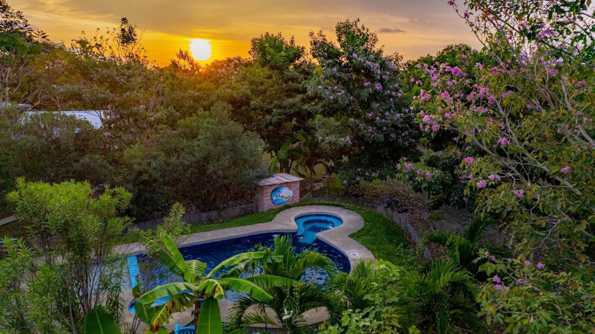 Quinta El Mamey Otel Río Verde Dış mekan fotoğraf