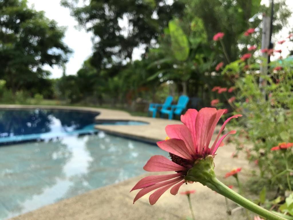 Quinta El Mamey Otel Río Verde Dış mekan fotoğraf