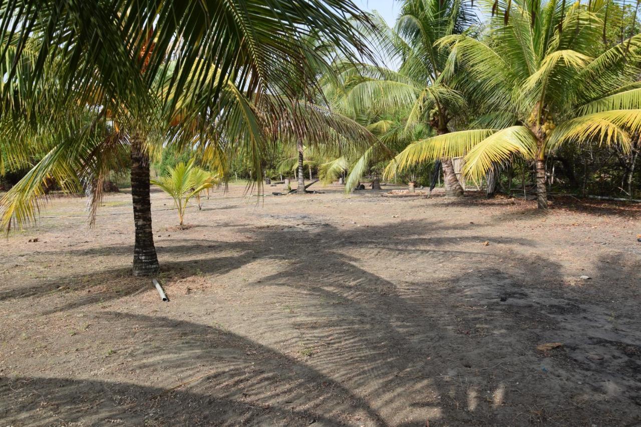 Quinta El Mamey Otel Río Verde Dış mekan fotoğraf